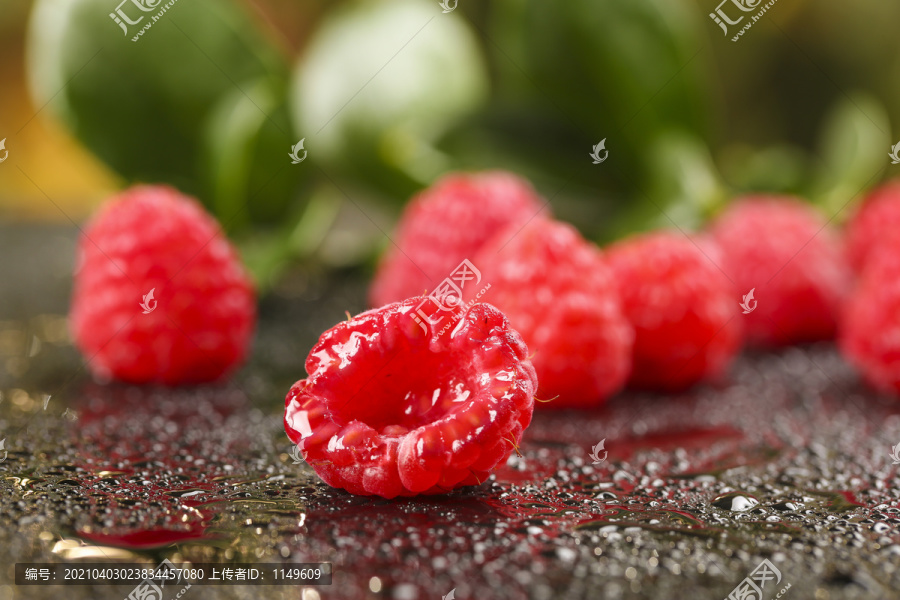 欧洲红树莓