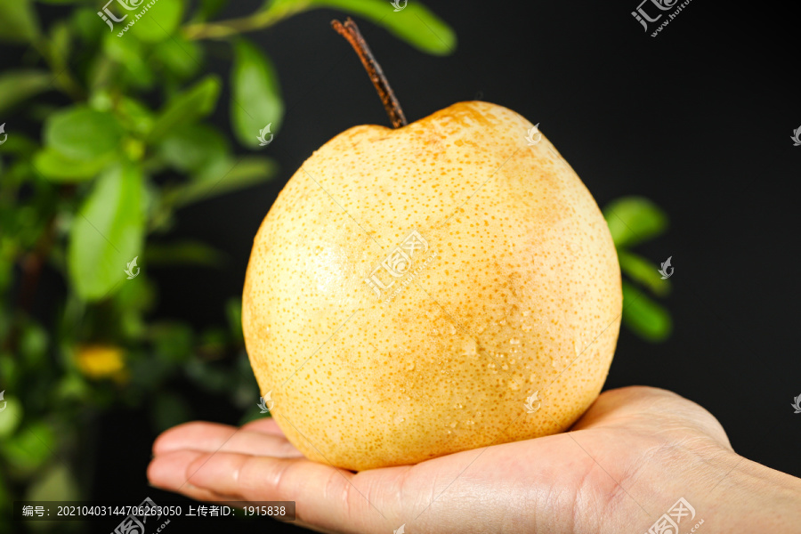 一个梨子