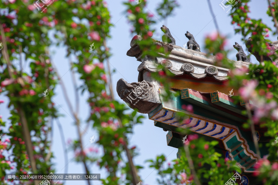 大悲院