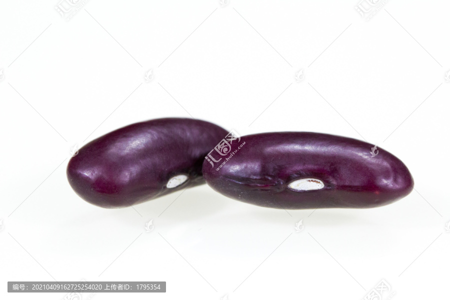 紫芸豆