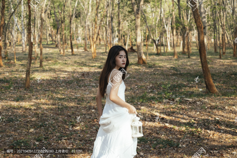 美丽的年轻女子穿着优雅的白裙，提着白灯笼走在森林里。