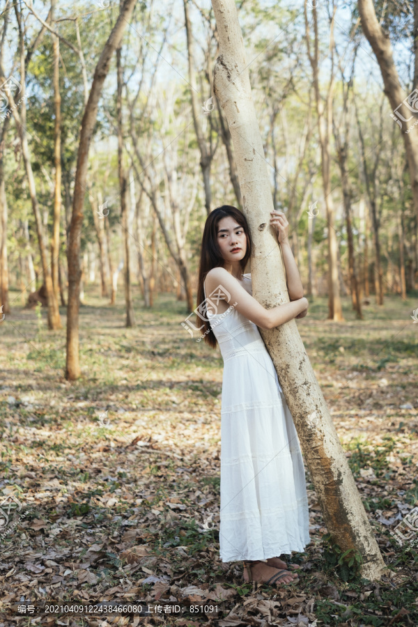 美丽的年轻女子穿着优雅的白色连衣裙拥抱着森林里的一棵树。