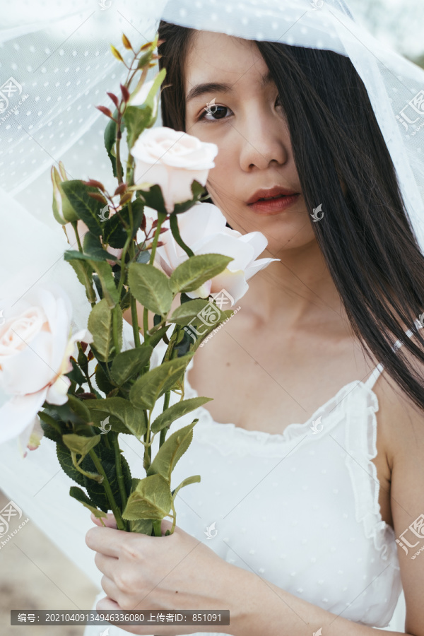 特写-年轻的亚洲长黑发女子新娘与白色面纱举行室外白玫瑰花肖像。