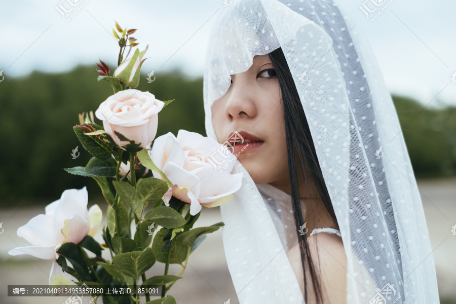 特写-年轻的亚洲长黑发女子新娘与白色面纱举行室外白玫瑰花肖像。