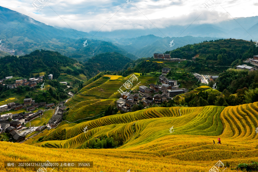 阳朔梯田