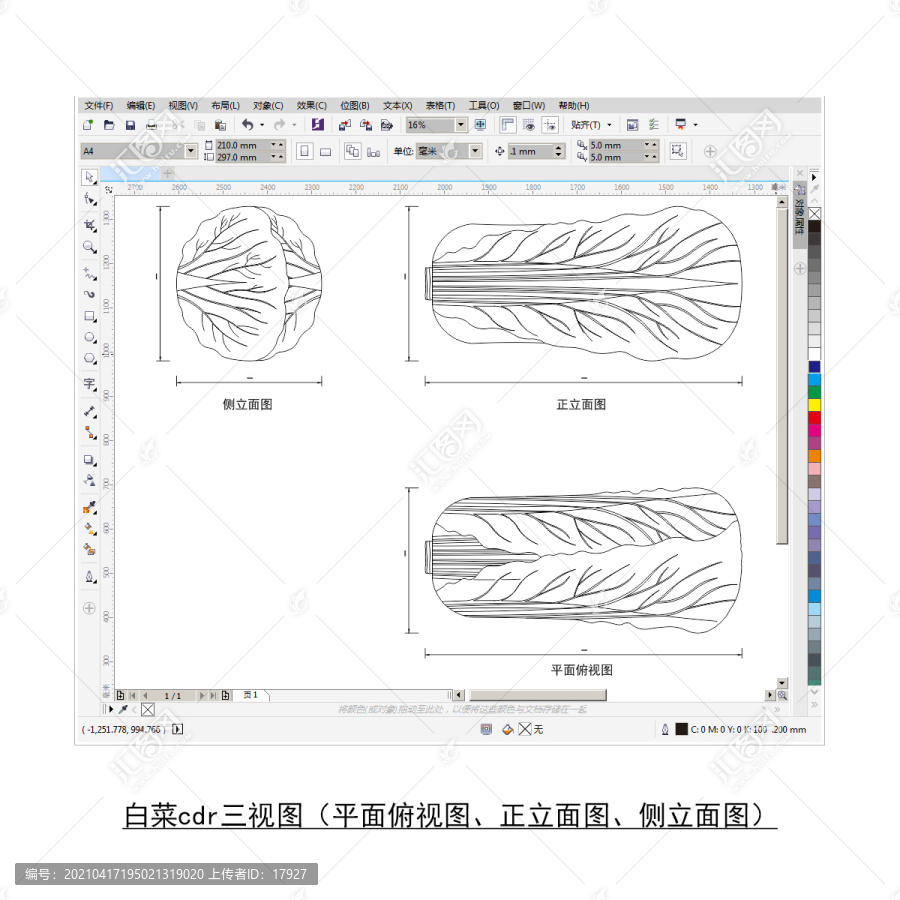 大白菜CDR平面图立面图