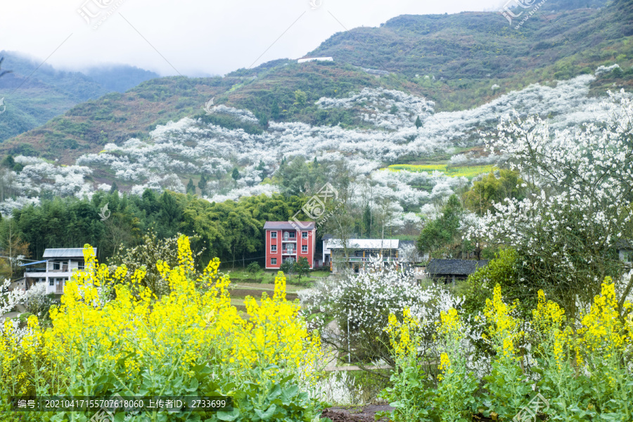 春暖花开