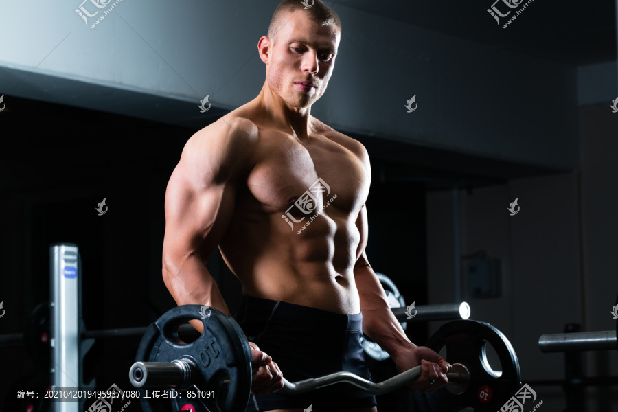 强壮的男子健美运动员在体育馆里用哑铃，用杠铃锻炼身体
