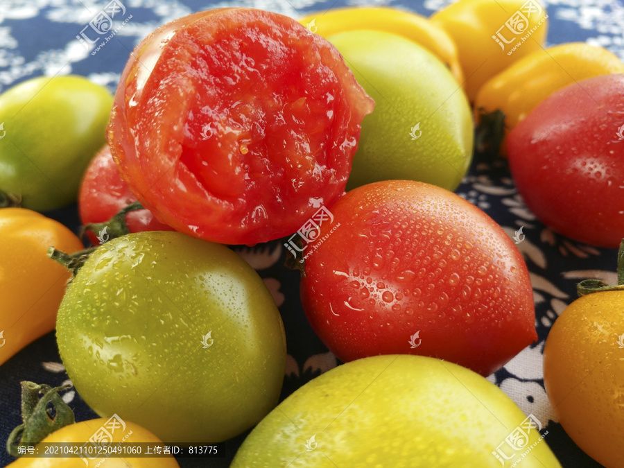小番茄七彩色