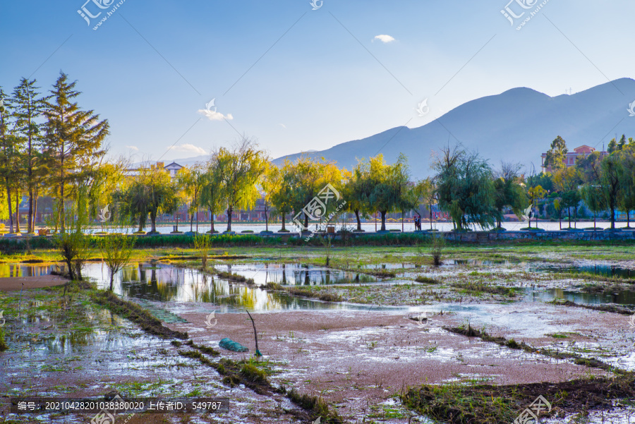 鹤庆新华村水田