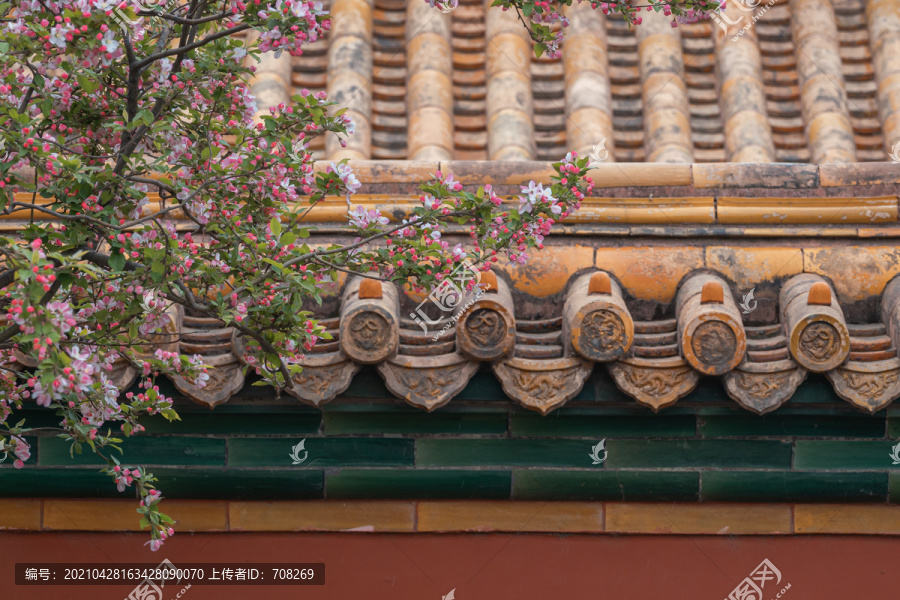 北京故宫庭院建筑和春天鲜花