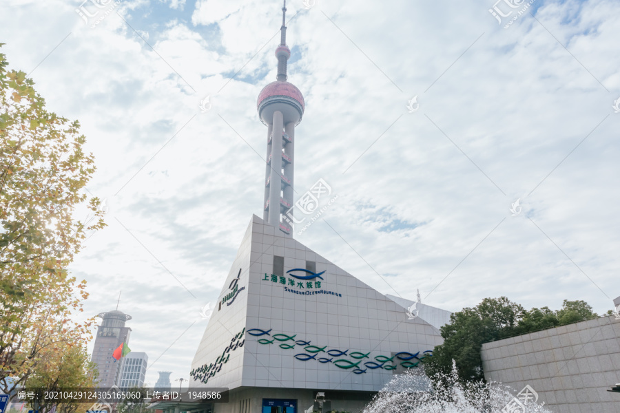 上海海洋水族馆