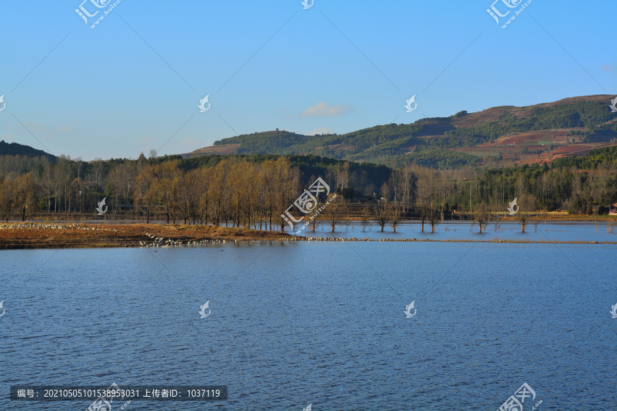 湖面风景