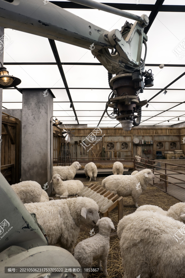 科技养羊