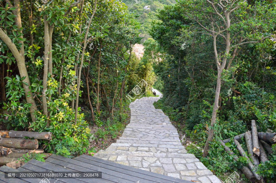 朱家尖山路山道