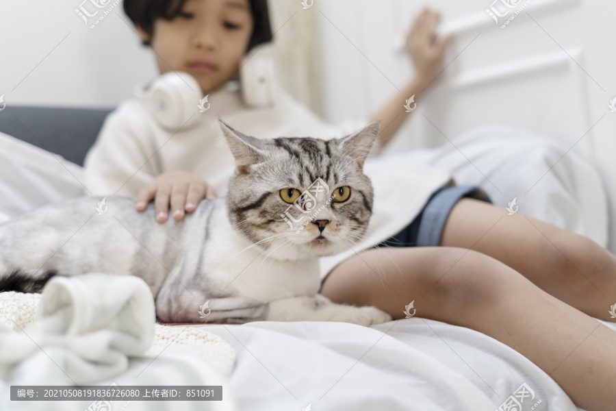 绒毛猫坐在沙发上的小男孩旁边。动物和人类之间的联系。小男孩，一只猫。