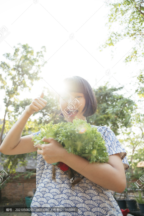 生态旅游-美丽的亚泰女子鲍勃发型手拿绿色新鲜蔬菜。蔬菜爱好者。健康食品。