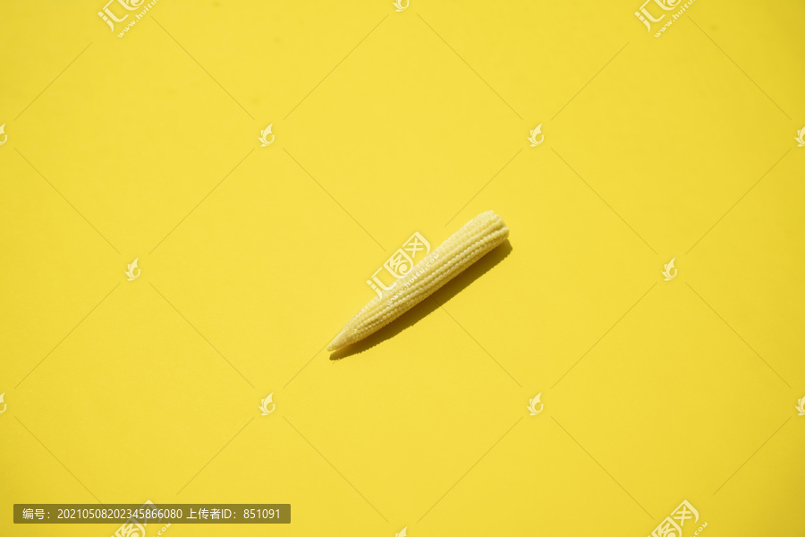 黄色背景上有阳光和阴影的小玉米。