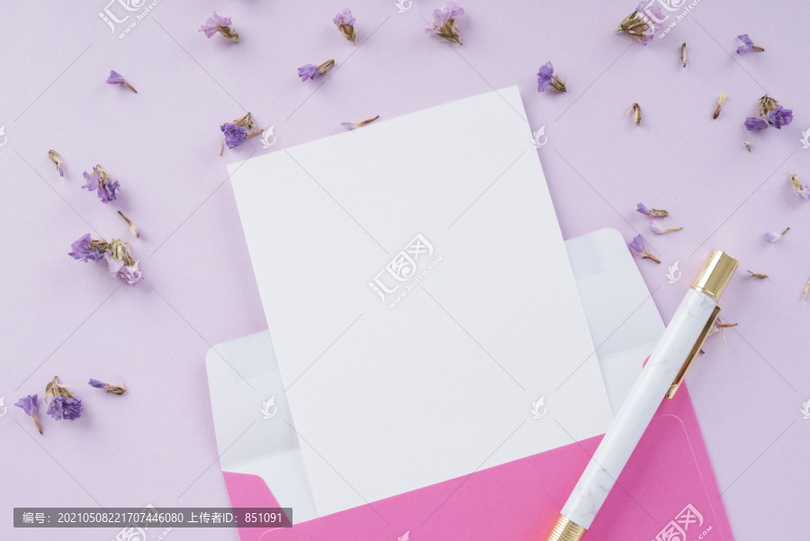粉红色的信纸模型附在淡紫色背景上。薰衣草花。