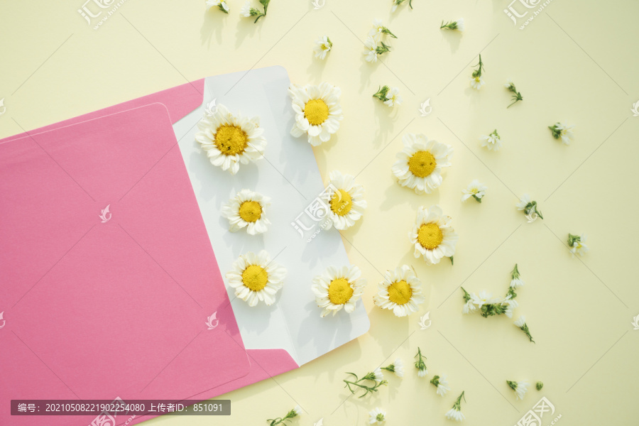 粉红色的信封和黄色背景上的花。顶视图。