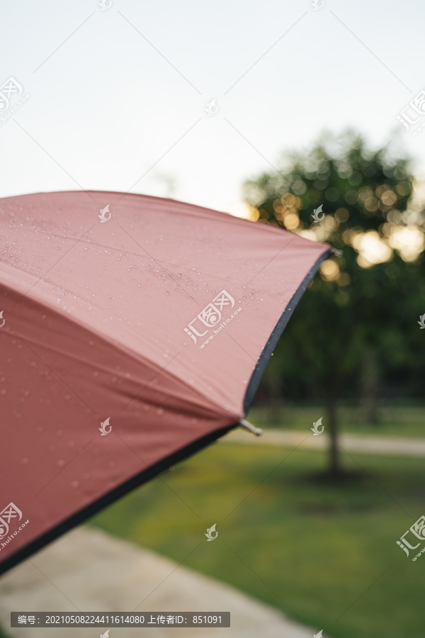 雨滴上一把红伞，雨滴上一把红伞，雨滴深浅上一把红伞，雨伞上一把红伞。户外自然。