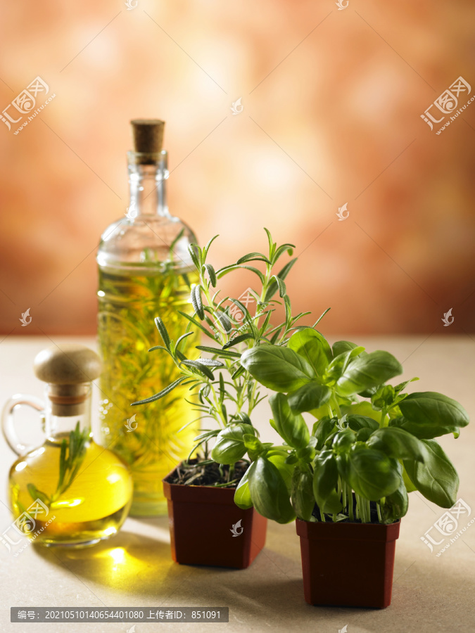 橄榄油和草本植物的库存图像