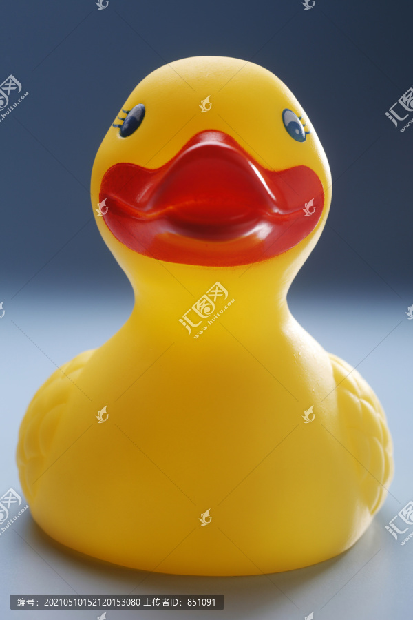 彩色背景上的橡胶黄鸭。
