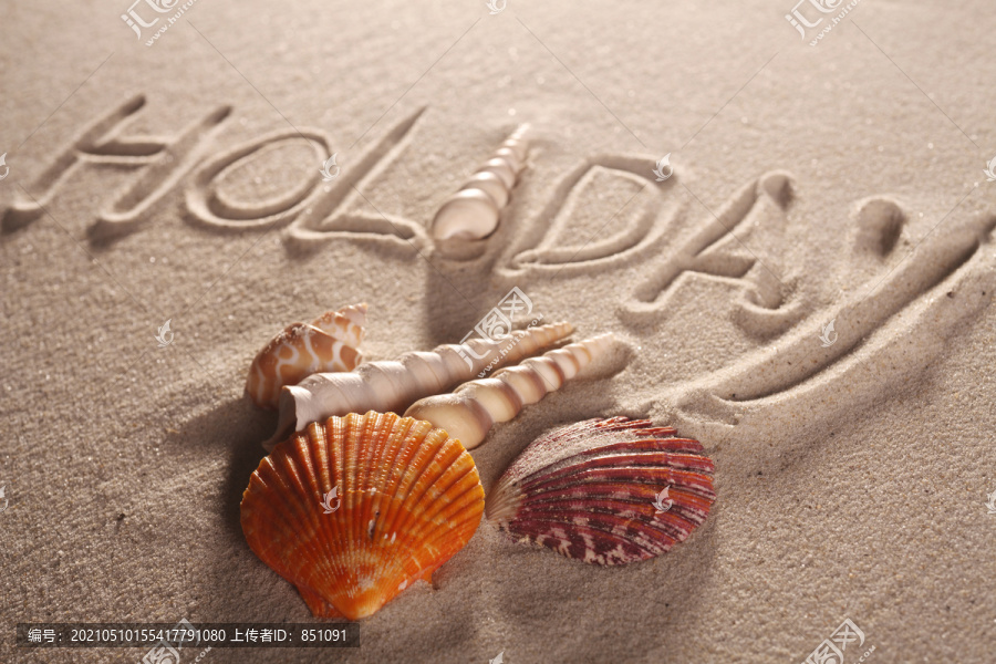 沙滩上有假日字样的贝壳。
