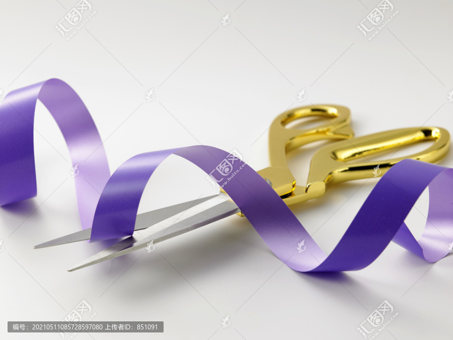剪彩紫丝带-开幕式概念