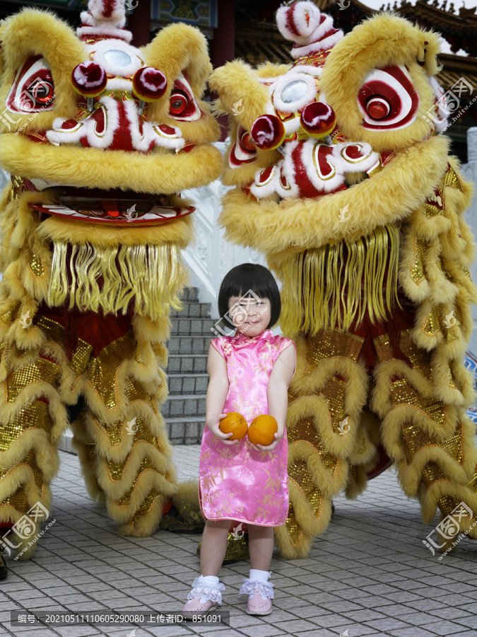 姑娘手里拿着桔子，站在舞狮者面前