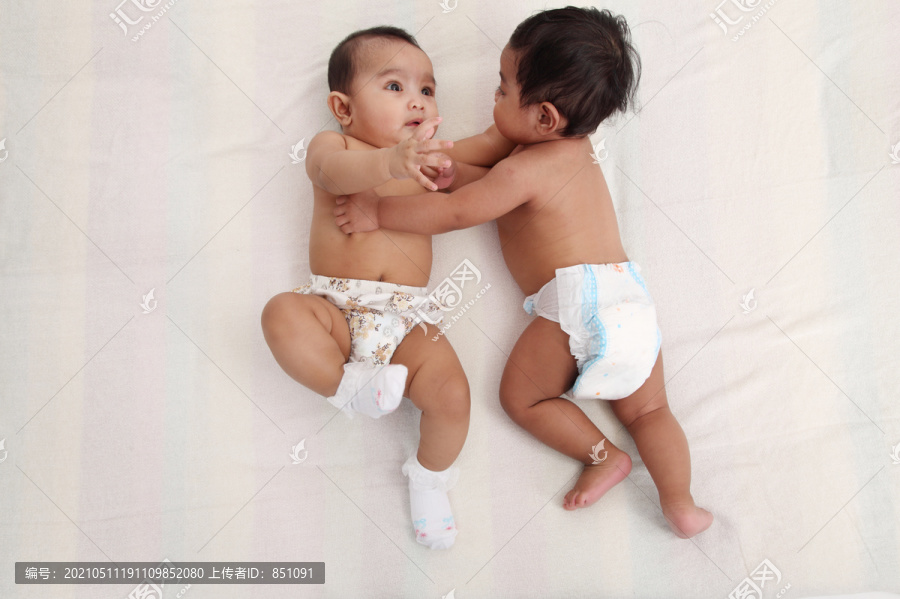 两个马来婴儿打架的顶视图