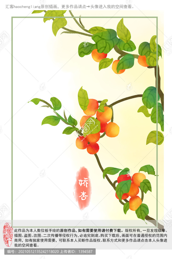 手绘水彩杏子插画