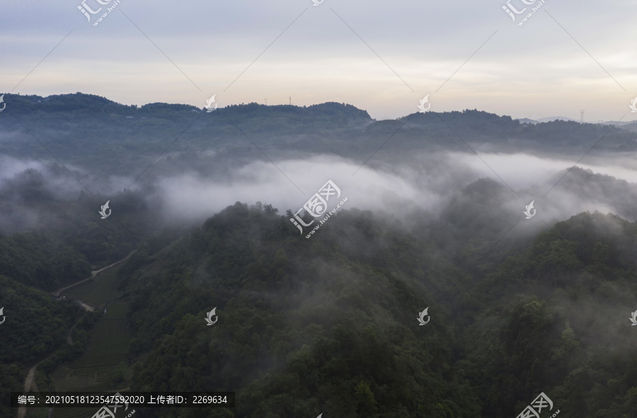 平流雾风景