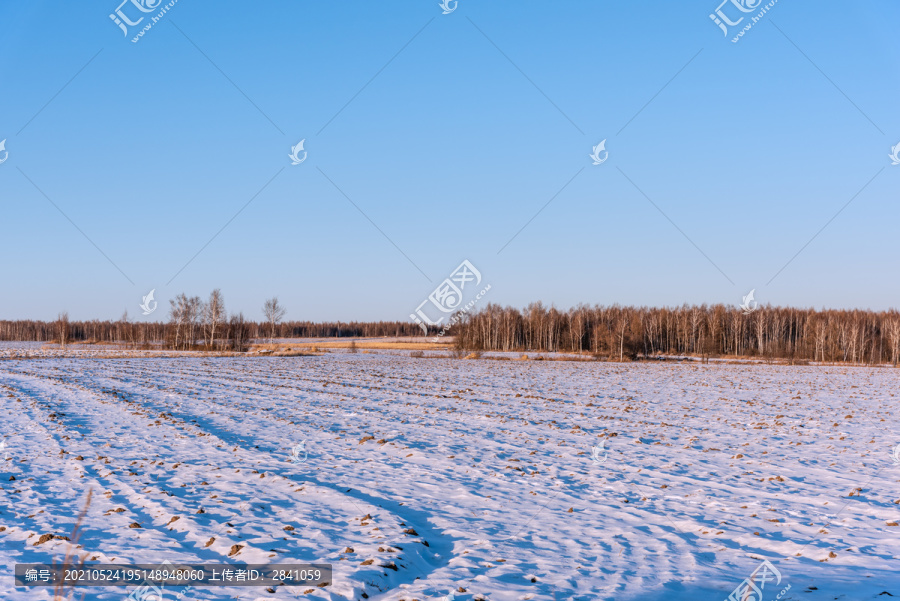 冬天雪地道路背景