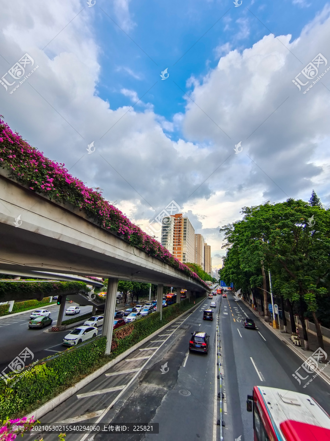 城市车道