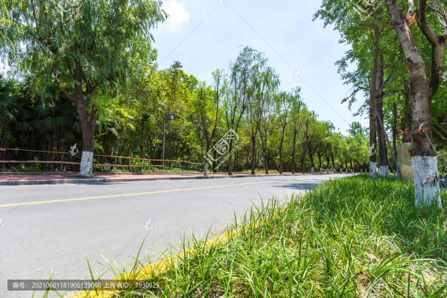 柏油路