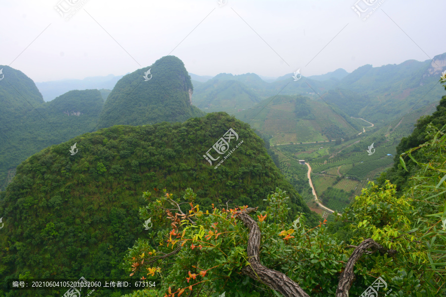 青山绿水