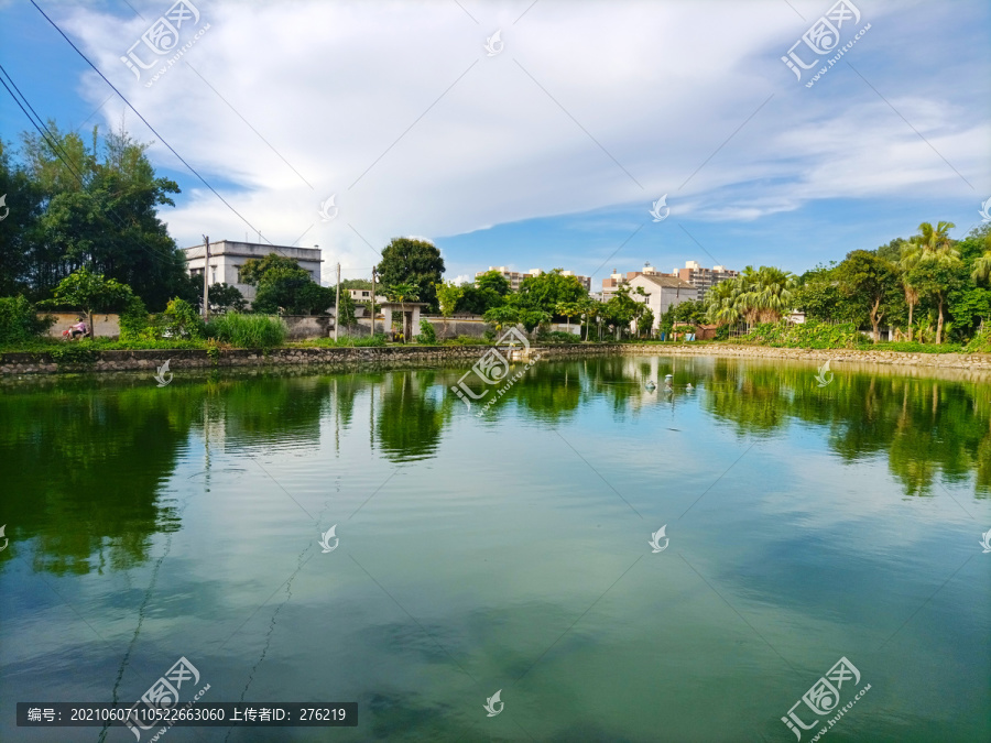 鱼塘风景