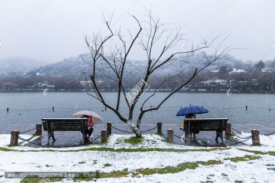 西湖雪韵