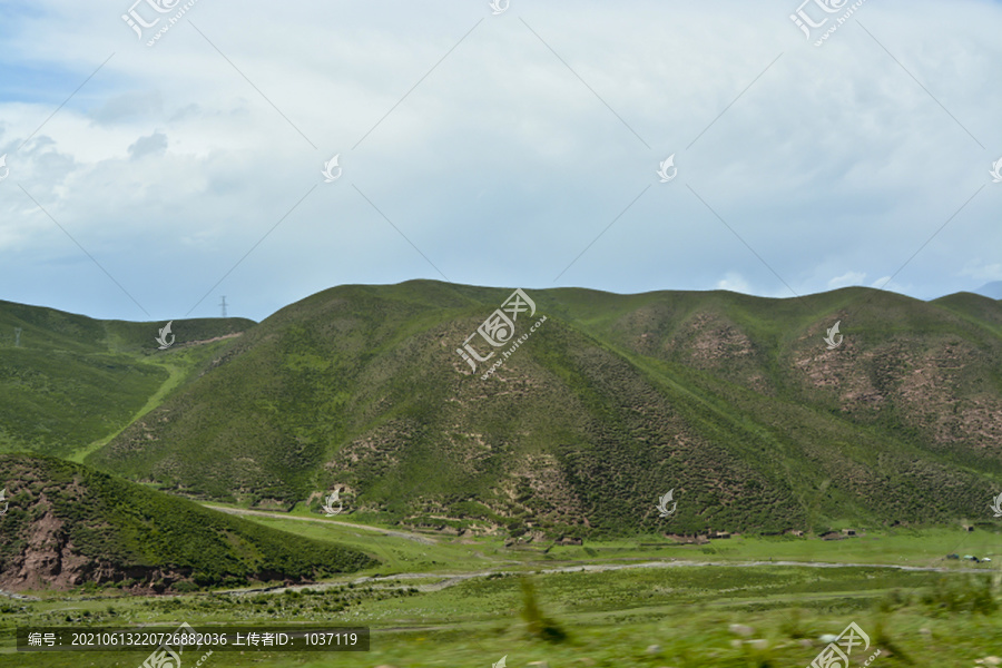 高山草甸