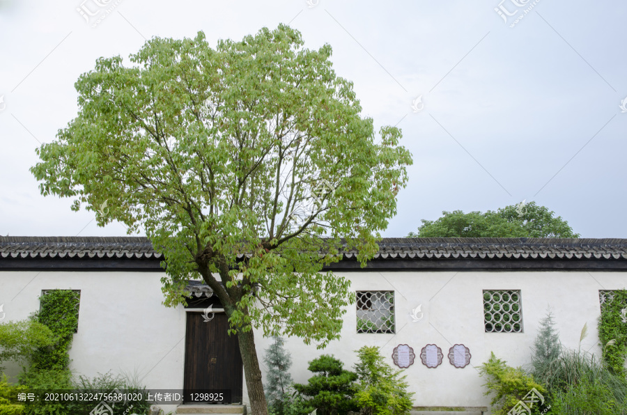 青瓦白墙绿树