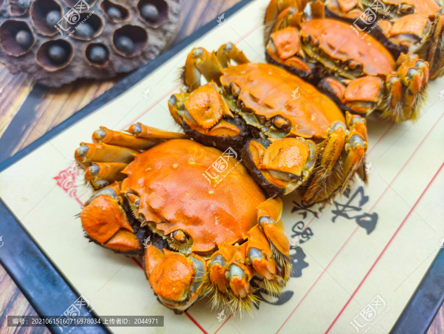 阳澄湖大闸蟹