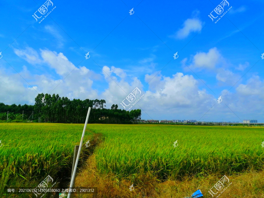 蓝天白云田野