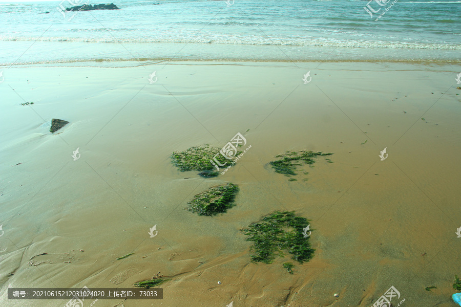 海岸