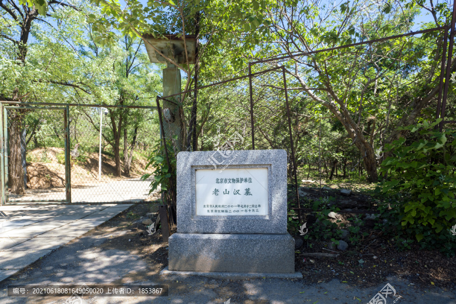 老山汉墓