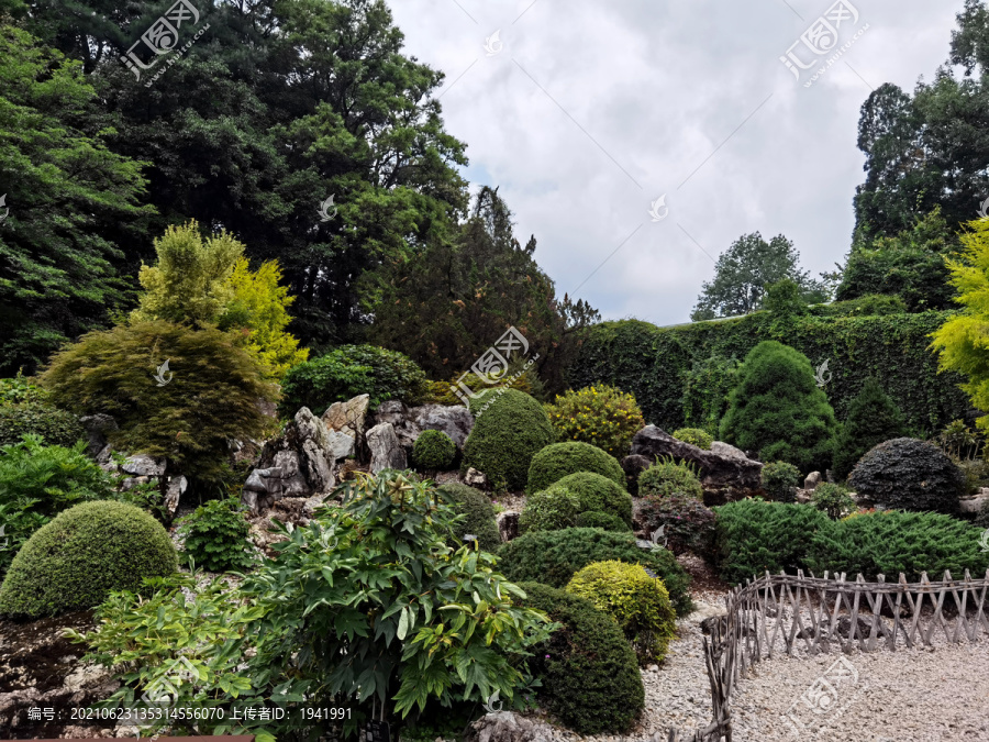 植物园