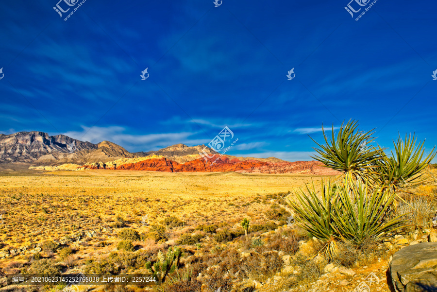 荒漠戈壁与荒原
