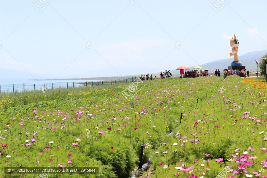 花海