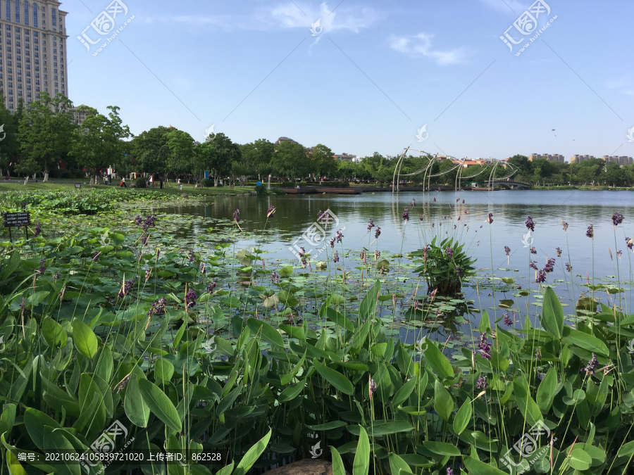 龙池湖上捕鱼网