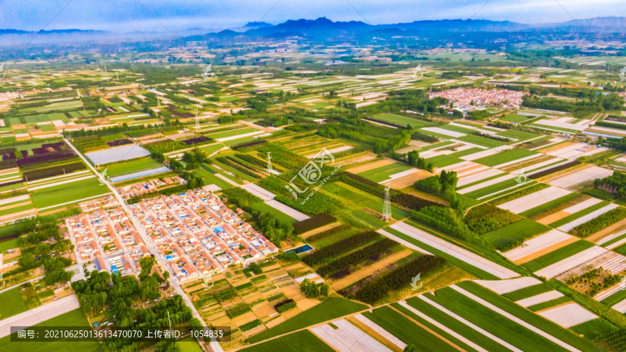 青岛大场风光农田风光